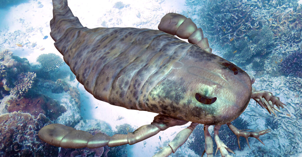 Bọ cạp lớn nhất - bọ cạp biển 