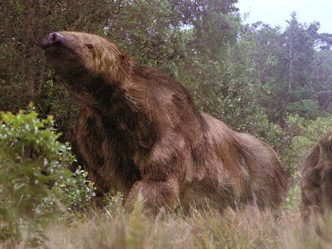 Megatherium được cho là một trong những loài thú to lớn nhất sống trên mặt đất